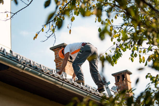 Best Rubber Roofing (EPDM, TPO)  in Ripley, WV