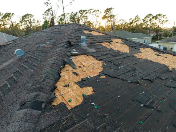 Hot Roofs in Ripley, WV