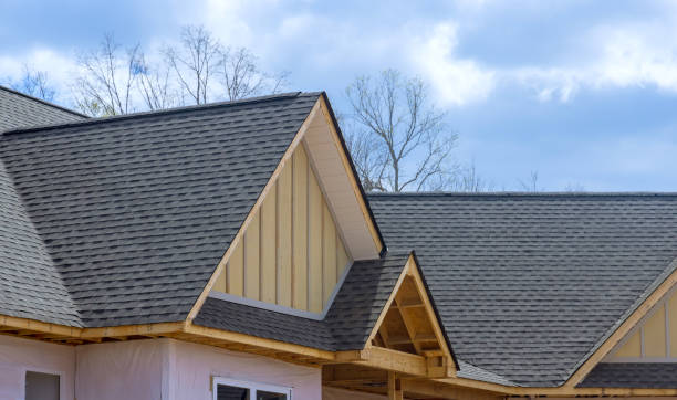 Best Solar Panel Roofing Installation  in Ripley, WV